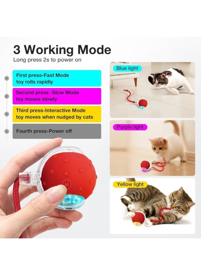 Cat toy ball with bird chirping sound, dog toy ball, mobile cat ball with elastic net tail, automatic kitten toy for boring indoor adult cats - Image 4